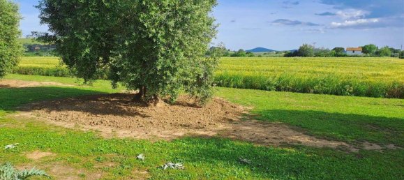 10 rooms House in Magliano in Toscana, Italy No. 21537 26