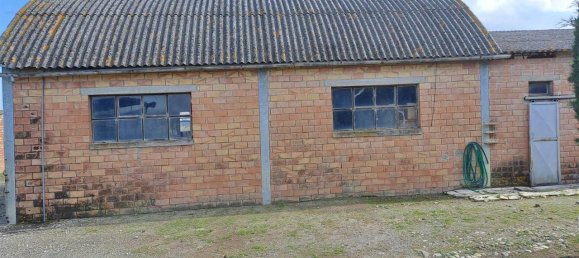 10 rooms House in Magliano in Toscana, Italy No. 21537 9