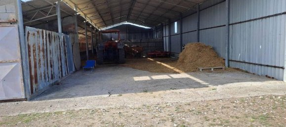 10 rooms House in Magliano in Toscana, Italy No. 21537 10