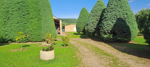 10 rooms House in Magliano in Toscana, Italy No. 21537 25