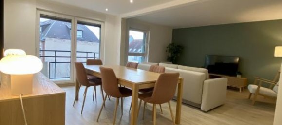 1 chambre Appartement à Strasbourg, France No. 102878 7