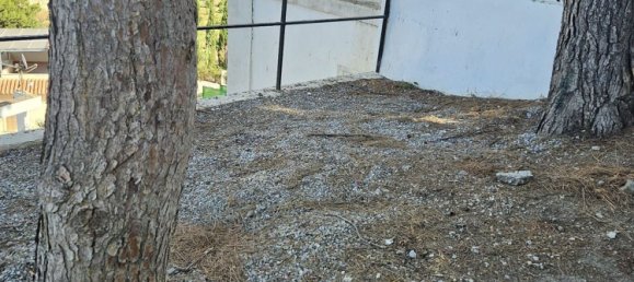  Land in Mezquitilla, Spain No. 156889 27