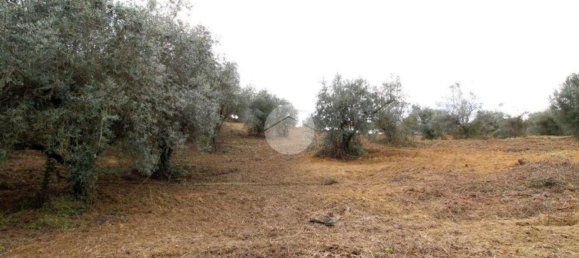 Terreno en Montelibretti, Italy No. 376661 3