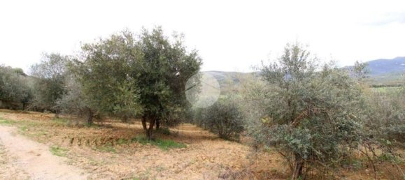 Terreno en Montelibretti, Italy No. 376661 10