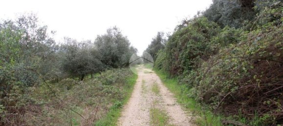 Terreno en Montelibretti, Italy No. 376661 7