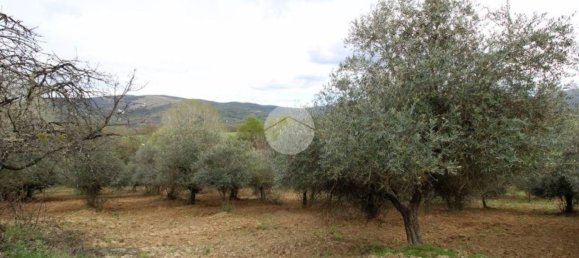 Terreno en Montelibretti, Italy No. 376661 12