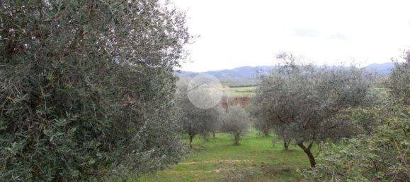 Terreno en Montelibretti, Italy No. 376661 6