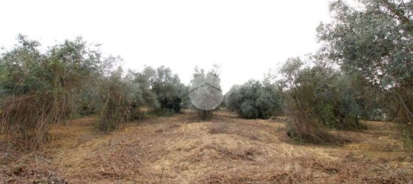 Terreno en Montelibretti, Italy No. 376661 2