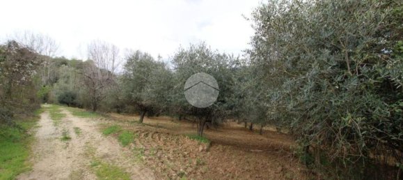 Terreno en Montelibretti, Italy No. 376661 11