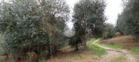 Terreno en Montelibretti, Italy No. 376661 4