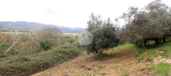 Terreno en Montelibretti, Italy No. 376661 8