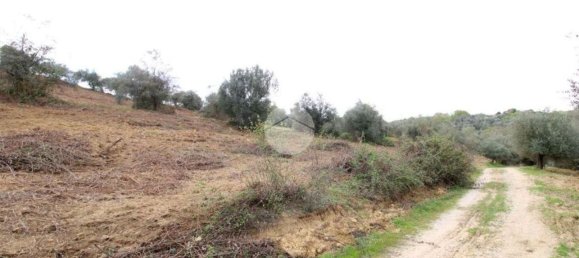 Terreno en Montelibretti, Italy No. 376661 5