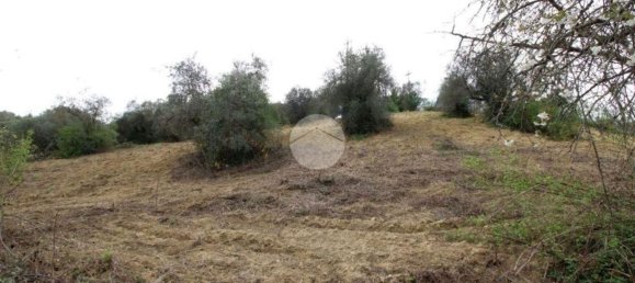 Terreno en Montelibretti, Italy No. 376661 9