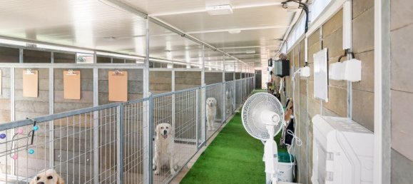 Земельный участок с 4 спальнями в Сетубал, Португалия № 135591 15