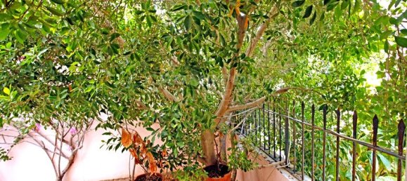 Villa T6 em Al Khalidiya, UAE N.º 6821 14