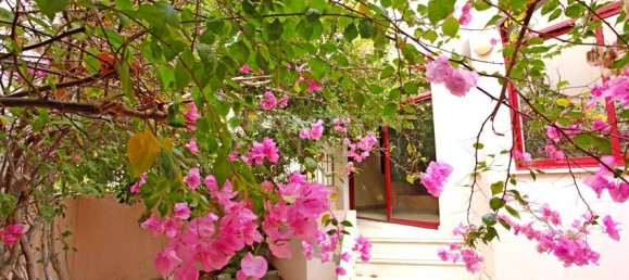 Villa T6 em Al Khalidiya, UAE N.º 6821 12