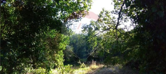  قطعة أرض في Vila Verde, Portugal 19000متر مربع رقم 40527 24