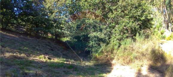  قطعة أرض في Vila Verde, Portugal 19000متر مربع رقم 40527 19