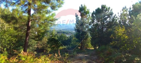  قطعة أرض في Vila Verde, Portugal 19000متر مربع رقم 40527 20