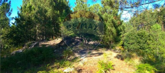  قطعة أرض في Vila Verde, Portugal 19000متر مربع رقم 40527 4