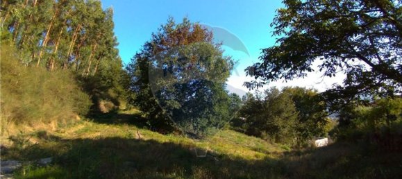  قطعة أرض في Vila Verde, Portugal 19000متر مربع رقم 40527 25