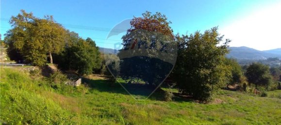  قطعة أرض في Vila Verde, Portugal 19000متر مربع رقم 40527 9