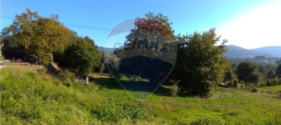  قطعة أرض في Vila Verde, Portugal 19000متر مربع رقم 40527 29