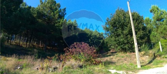  قطعة أرض في Vila Verde, Portugal 19000متر مربع رقم 40527 18