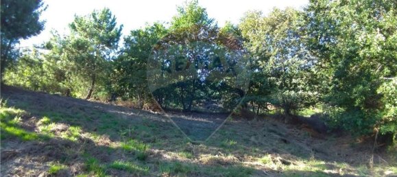  قطعة أرض في Vila Verde, Portugal 19000متر مربع رقم 40527 15