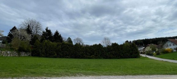 Terreno en Andorf, Austria No. 74419 6