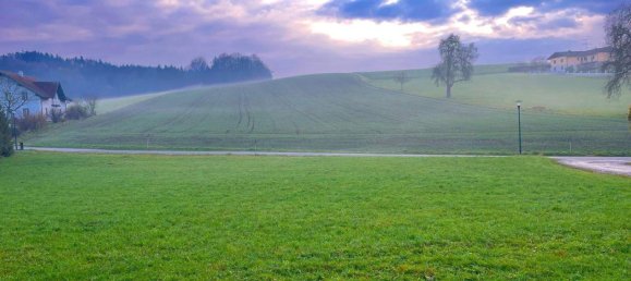 Terreno en Andorf, Austria No. 74419 9