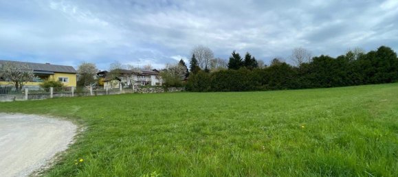 Terreno en Andorf, Austria No. 74419 5