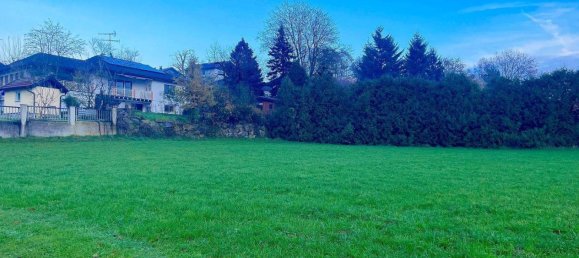 Terreno en Andorf, Austria No. 74419 2