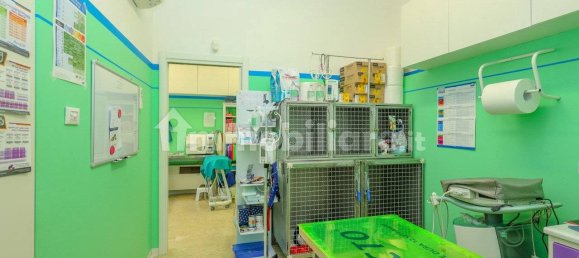 4 rooms Commercial property in Montegrotto Terme, Italy No. 117019 9