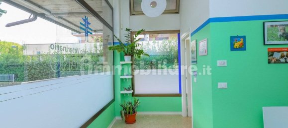 4 rooms Commercial property in Montegrotto Terme, Italy No. 117019 4