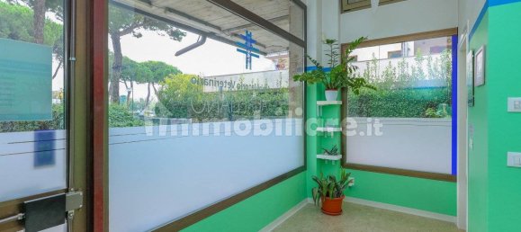 4 rooms Commercial property in Montegrotto Terme, Italy No. 117019 3