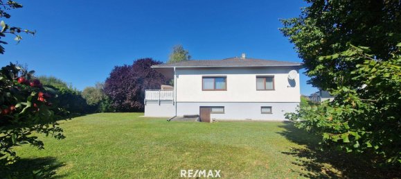 4-Zimmer Haus in Großkrut, Austria, Nr. 247456 3