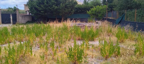 Земельный участок в Карини, Италия № 326332 6