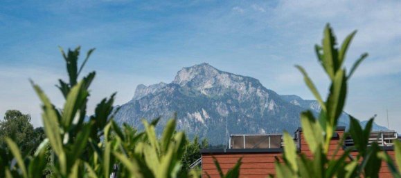 3-Zimmer Doppelhaus in Elsbethen, Austria, Nr. 241500 6