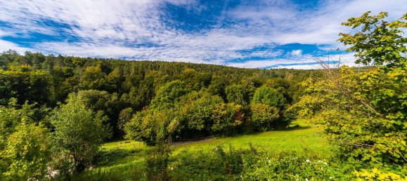 Квартира с 1 спальней в Ремс-Мур, Германия № 357353 7