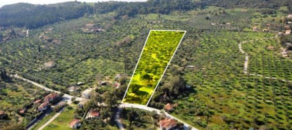  Hotel in Zakynthos, Greece No. 460 2