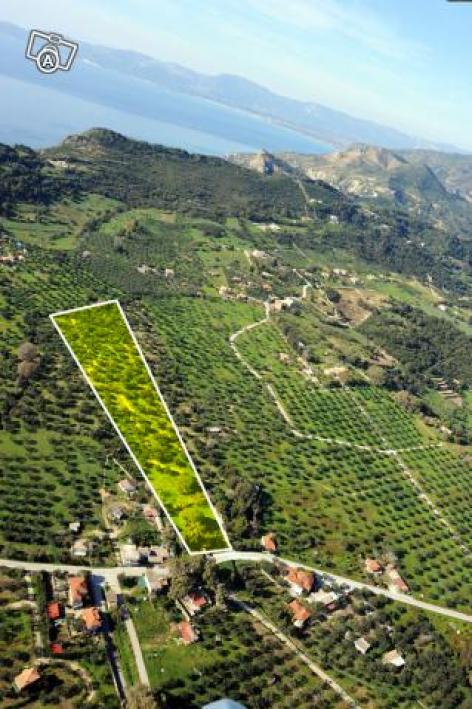  Hotel in Zakynthos, Greece No. 460