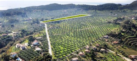  Hotel in Zakynthos, Greece No. 460 3