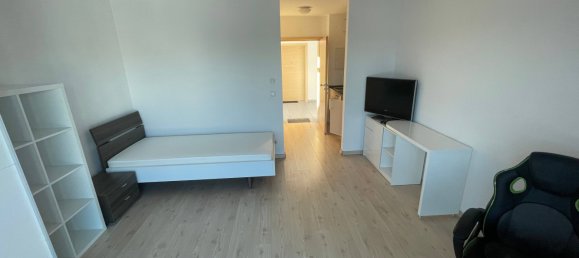 Studio in Deggendorf, Germany No. 239317 7