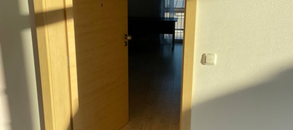 Studio in Deggendorf, Germany No. 239317 5