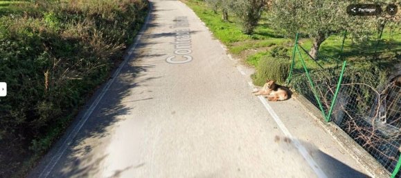 4-Zimmer Wohnung in Cosenza, Italy, Nr. 294359 8