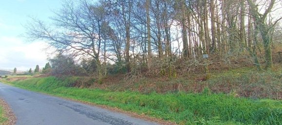  قطعة أرض في A Bana, Spain 5453متر مربع رقم 56596 17