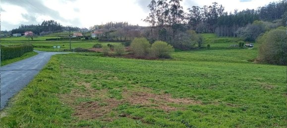  قطعة أرض في A Bana, Spain 5453متر مربع رقم 56596 9