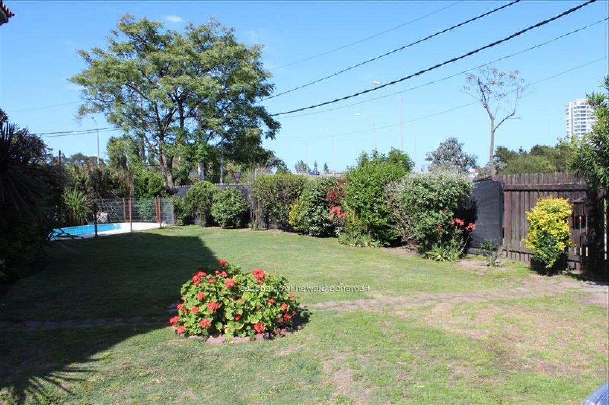 4 bedrooms House in Montevideo, Uruguay No. 4416