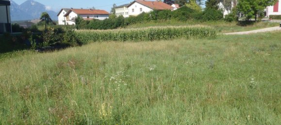 Terrain à Eberndorf, Austria No. 223266 3